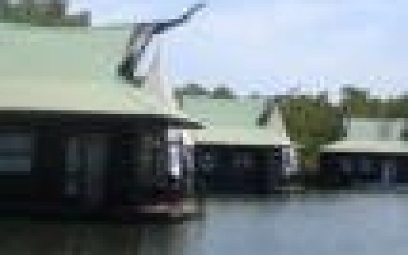 Minister opens expert meeting on mangrove restoration in the Niger Delta