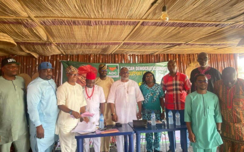 Anazado emerges ADC consensus candidate for Amuwo-Odofin