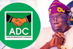 $1bn social fund: Reform without relief is cruelty — ADC tells Tinubu