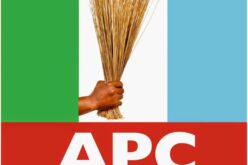 Ebonyi LG Poll: APC begins campaign, urges peaceful mobilisation
