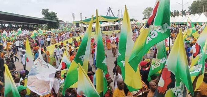APGA wins all positions in Anambra council poll