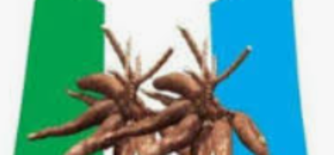 HRF Report: Nigeria now full authoritarian state — APM
