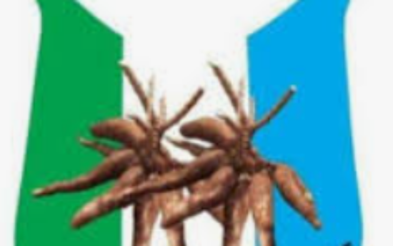 HRF Report: Nigeria now full authoritarian state — APM
