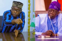 2027: SDP’s Adebayo faults Tinubu’s absence at National Peace Accord