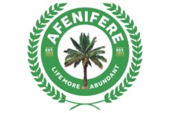 Lagos-Calabar Highway: We stand with Tinubu, but don’t bypass Ondo coast — Afenifere