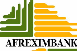 Afreximbank H1 profit jumps 30% to $535m as lending hits $35.4bn