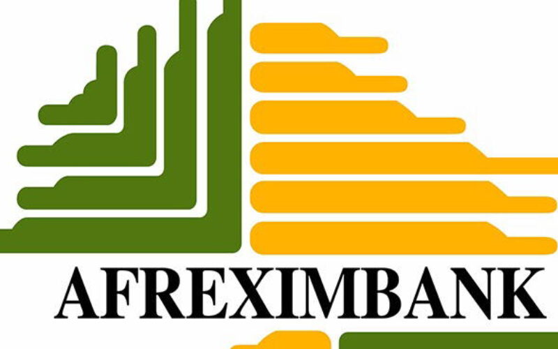 Afreximbank H1 profit jumps 30% to $535m as lending hits $35.4bn