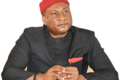 Some domestic airlines may go extinct in 30 days – Onyema