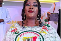 2027 Presidency: We couldn’t find another woman to replace Anita — YPP