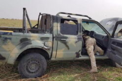 Suspected B-Haram terrorists kill police inspector, seven others in Adamawa 