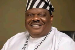 Ukum Attack: Aondoakaa demands urgent action, says Benue tired of counting bodies