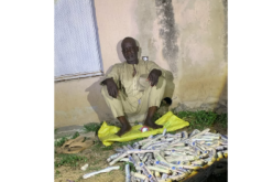 Troops neutralise terrorists, intercept courier with 180 explosives in Zamfara