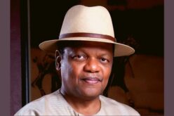 Atedo Peterside: Osun election key test for INEC ahead of 2027