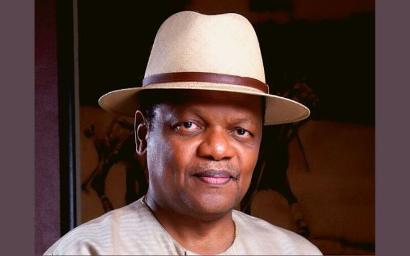 Atedo Peterside: Osun election key test for INEC ahead of 2027