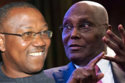2027: Tinubu leads Atiku, Obi in early forecast — PIG