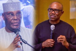 2027: Atiku is only serious contender; Obi is chief content creator - Arabambi