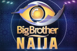 Full list: Housemates who voluntarily left BBNaija house