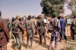 Kidnappers collect N7.78bn ransom in one year — SBM