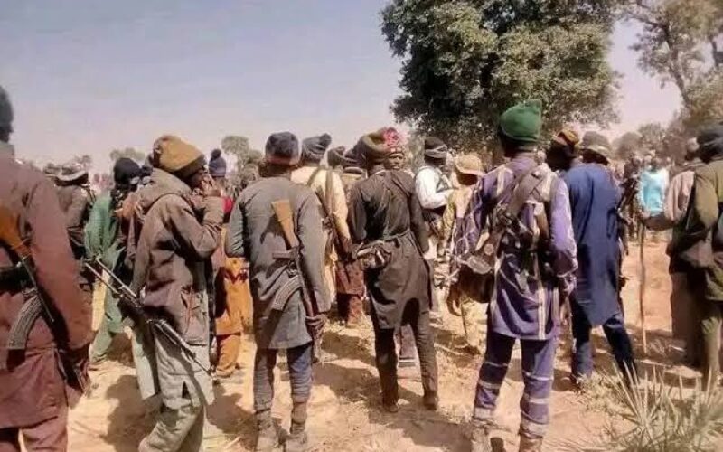 Kidnappers collect N7.78bn ransom in one year — SBM