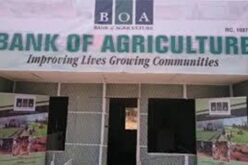 FG, BOA partner to lift 80m vulnerable Nigerians out of poverty