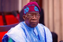 Tinubu moves to double livestock sector’s $32bn economic contribution