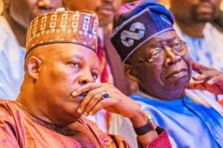 2027: INEC displays Tinubu, Shettima’s credentials