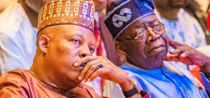 2027: INEC displays Tinubu, Shettima’s credentials