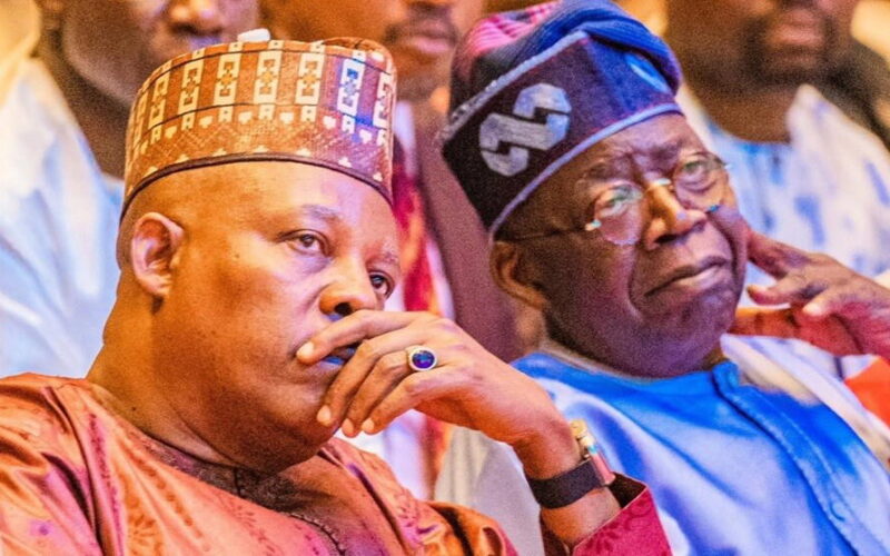 2027: INEC displays Tinubu, Shettima’s credentials