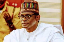 APC Campaign Council: Meet 14 governors tasked with delivering Tinubu in 2027