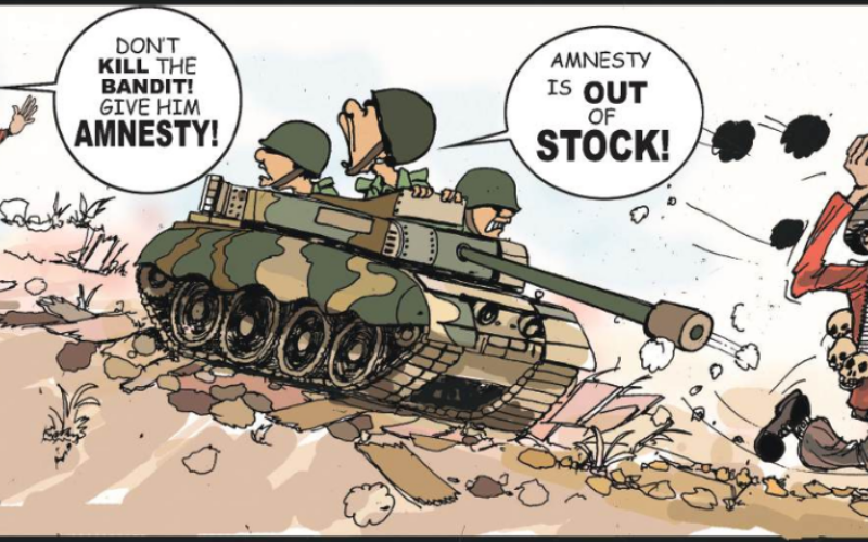 Cartoon: ‘Is amnesty the name of an animal, place or thing?’