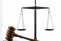 Universal Insurance drags NAICOM to court