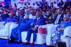 Economic Summit: Shettima, Okonjo-Iweala, Elumelu, others seek investments for Delta