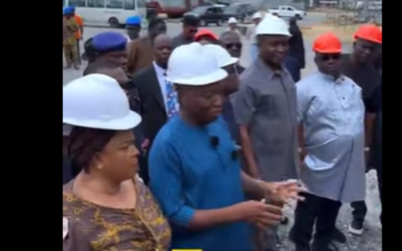 I mentored Azikel boss Eruani into big business – Patience Jonathan