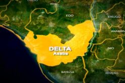 PTI assault: Delta suspends Works Commissioner, court remands him