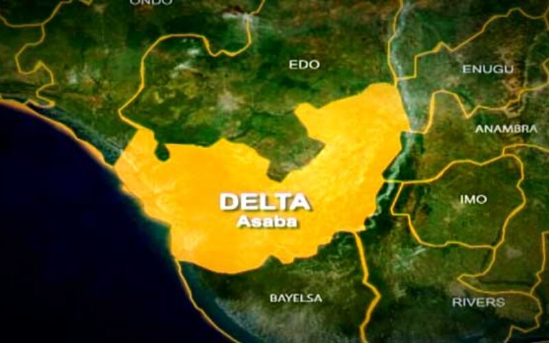 PTI assault: Delta suspends Works Commissioner, court remands him
