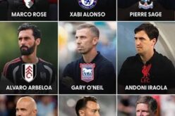 Full list: EPL to kick off with record 9 new coaches