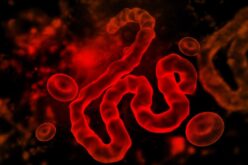 Congo Ebola outbreak explodes to 4,665 cases, 2,184 deaths