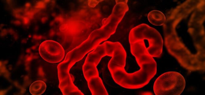 Congo Ebola outbreak explodes to 4,665 cases, 2,184 deaths
