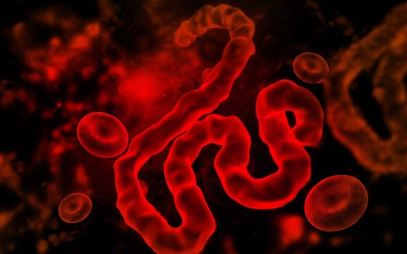 Congo Ebola outbreak explodes to 4,665 cases, 2,184 deaths