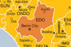 Dogs attack telecom technician during installation work in Benin