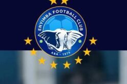 Enyimba supporters demand continental ticket in new NPFL season