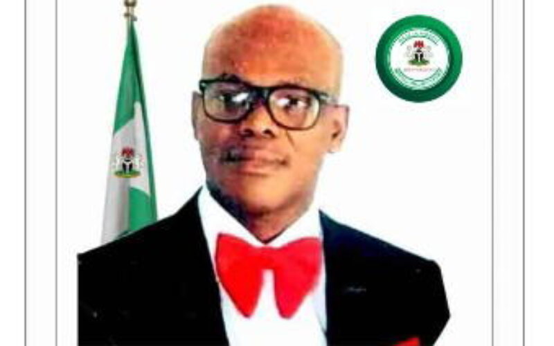 How fake agency deployed ‘federal character’ in nationwide appointments