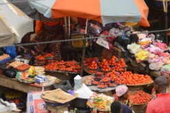 Tackling informal sector food adulteration 