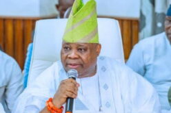I introduced state policing in Senate — Adeleke