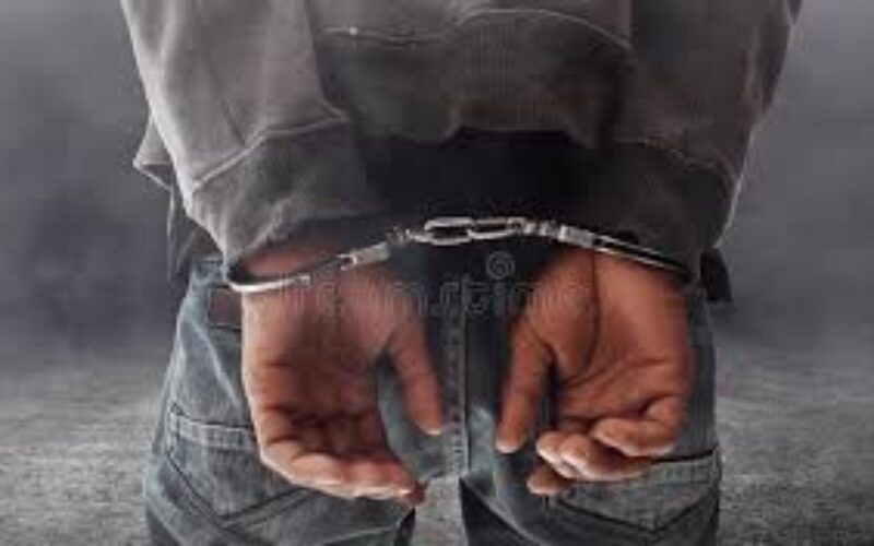 Two doctors, man arrested over alleged organ harvesting in Nasarawa