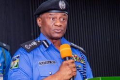 Osun election: Police will be apolitical, impartial — IGP Disu