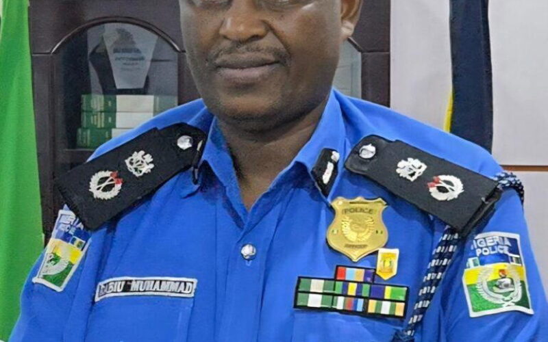 Police arrest 6 suspected kidnappers in Kaduna