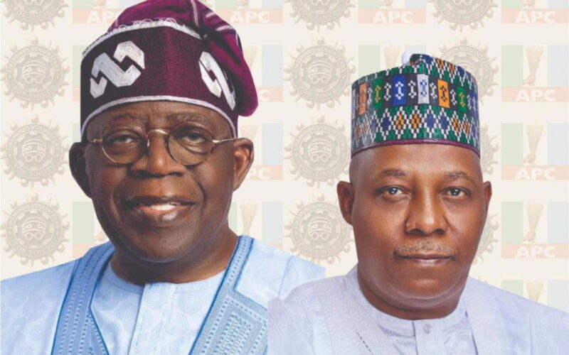 LikeMinds volunteers targets 2.5 million votes for Tinubu in 2027