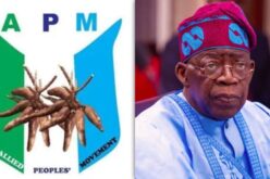 N27trn subsidy funds: APM accuses Tinubu govt of ‘litany of lies’