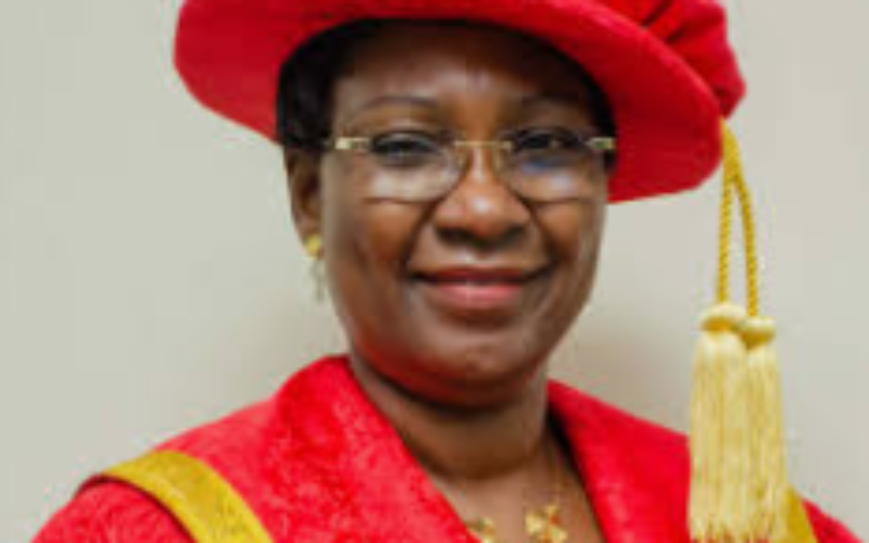 LASU VC Olatunji-Bello bows out after five years